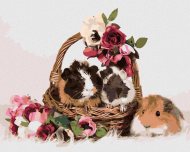 Zuty Morčatá v košíku s kvetinami, 80x100cm plátno napnuté na rám - cena, porovnanie