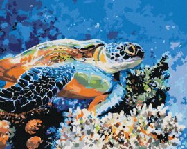 Zuty Morská korytnačka, 80x100cm bez rámu a bez napnutia plátna