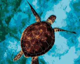 Zuty Morská korytnačka na vode, 80x100cm plátno napnuté na rám
