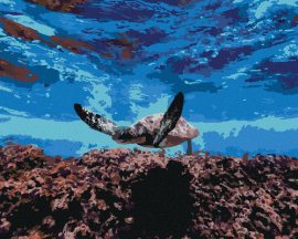Zuty Morská korytnačka pod hladinou, 80x100cm plátno napnuté na rám
