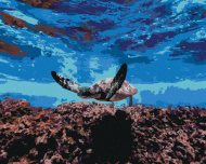 Zuty Morská korytnačka pod hladinou, 80x100cm plátno napnuté na rám - cena, porovnanie