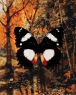 Zuty Motýľ v jesennom lese, 80x100cm bez rámu a bez napnutia plátna - cena, porovnanie