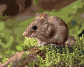 Zuty Myška odpočívajúca v lese, 80x100cm bez rámu a bez napnutia plátna