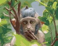 Zuty Opica v prírodnom lese, 80x100cm plátno napnuté na rám - cena, porovnanie