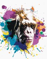 Zuty Opičia hlava na farebnom pozadí, 80x100cm plátno napnuté na rám - cena, porovnanie