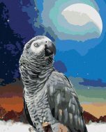 Zuty Papagáj a mesiac, 80x100cm plátno napnuté na rám - cena, porovnanie