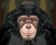 Zuty Portrét šimpanza, 80x100cm plátno napnuté na rám - cena, porovnanie