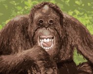 Zuty Rozosmiaty orangutan, 80x100cm plátno napnuté na rám - cena, porovnanie