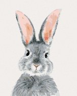 Zuty Sivý králik, 80x100cm bez rámu a bez napnutia plátna - cena, porovnanie
