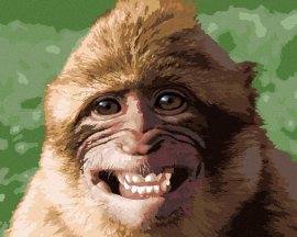 Zuty Smejúca sa opica, 80x100cm bez rámu a bez napnutia plátna
