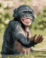 Zuty Šťastný šimpanz, 80x100cm plátno napnuté na rám - cena, porovnanie