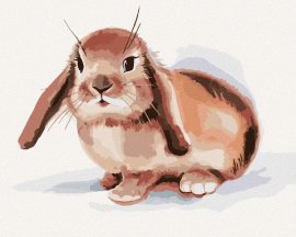 Zuty Hnedý králik na bielom pozadí, 40x50cm plátno napnuté na rám