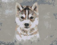 Zuty Husky na sivom pozadí, 40x50cm plátno napnuté na rám - cena, porovnanie