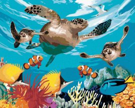 Zuty Maľovanie podľa čísel Korytnačky a farebný oceán (Howard Robinson), 40x50cm bez rámu