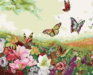 Zuty Maľovanie podľa čísel Lúka plná motýľov, 50x40cm napnuté plátno na rám - cena, porovnanie