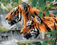 Zuty Maľovanie podľa čísel Striehnuce tigre pri rieke (Howard Robinson), 40x50cm napnuté plátno na rám - cena, porovnanie