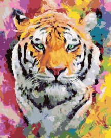 Zuty Maľovanie podľa čísel Tiger vo farbách, 40x50cm napnuté plátno na rám