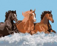Zuty Maľovanie podľa čísel Tri kone vo vode, 40x50cm bez rámu a bez napnutia plátna - cena, porovnanie