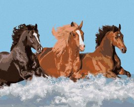 Zuty Maľovanie podľa čísel Tri kone vo vode, 40x50cm napnuté plátno na rám