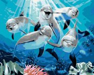 Zuty Maľovanie podľa čísel Veselé delfíny (Howard Robinson), 40x50cm bez rámu a bez napnutia plátna - cena, porovnanie