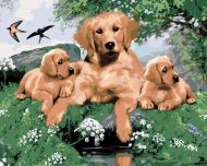 Zuty Maľovanie podľa čísel Zlatý retriever a šteňatá (Howard Robinson), 40x50cm bez rámu a bez napnutia plátna - cena, porovnanie
