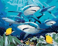Zuty Maľovanie podľa čísel Žraloky a koralový útes (Howard Robinson), 40x50cm bez rámu a bez napnutia plátna - cena, porovnanie