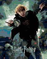 Zuty Plagát Harry Potter a relikvia smrti Ron, 40x50cm plátno napnuté na rám - cena, porovnanie