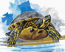 Zuty Vodná korytnačka, 40x50cm bez rámu a bez vypnutia plátna