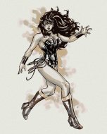 Zuty Wonder Woman čierno-biely plagát III, 40x50cm plátno napnuté na rám - cena, porovnanie