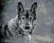 Zuty Vlk na sivom pozadí, 80x100cm plátno napnuté na rám - cena, porovnanie