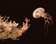 Zuty Žena naťahujúca sa po medúze, 80x100cm bez rámu a bez napnutia plátna - cena, porovnanie