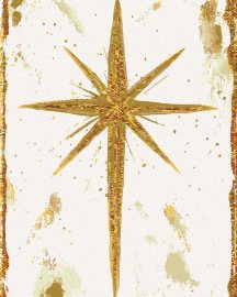 Zuty Zlatá hviezda (Haley Bush), 80x100cm plátno napnuté na rám