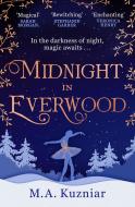 Midnight in Everwood - cena, porovnanie