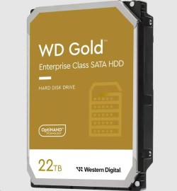 Western Digital Gold WD241KRYZ 22TB