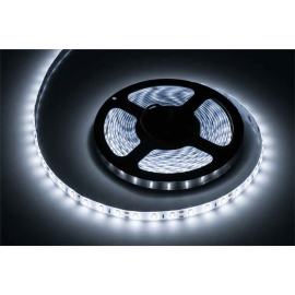 Rebel Led pás 300x5630 SMD biely (studený) 5m - vodotesný