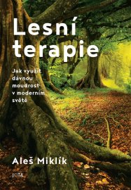 Lesní terapie - Jak využít dávnou moudrost v moderním světě