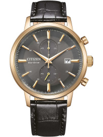 Citizen CA7067