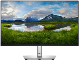 Dell P2425HE