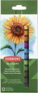 Derwent Academy Soft Pastels 12ks