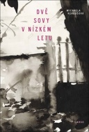 Dvě sovy v nízkém letu - cena, porovnanie