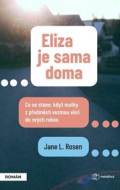 Eliza je sama doma - cena, porovnanie