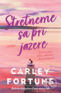 Stretneme sa pri jazere - cena, porovnanie