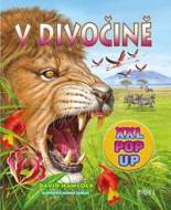 V divočině - Hawcock David - cena, porovnanie
