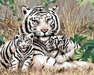 Zuty Maľovanie podľa čísel - Biely tiger a mláďatá v tráve (Howard Robinson), 40 x 50 cm, napnuté plátno na rám - cena, porovnanie