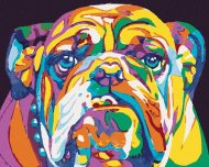 Zuty Farebný bulldog, 40x50 cm, vypnuté plátno na rám - cena, porovnanie