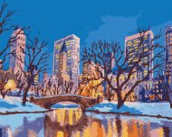 Zuty New York Central Park_II, 40x50 cm, vypnuté plátno na rám - cena, porovnanie