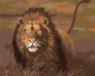 Zuty Maľovanie podľa čísel - Lev v savane, 50 x 40 cm, bez rámu a napnutého plátna - cena, porovnanie
