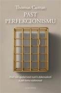 Past perfekcionismu - cena, porovnanie