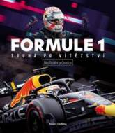 Formule 1 - Touha po vítězství - cena, porovnanie