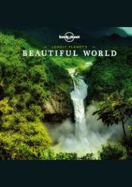 Beautiful World mini
